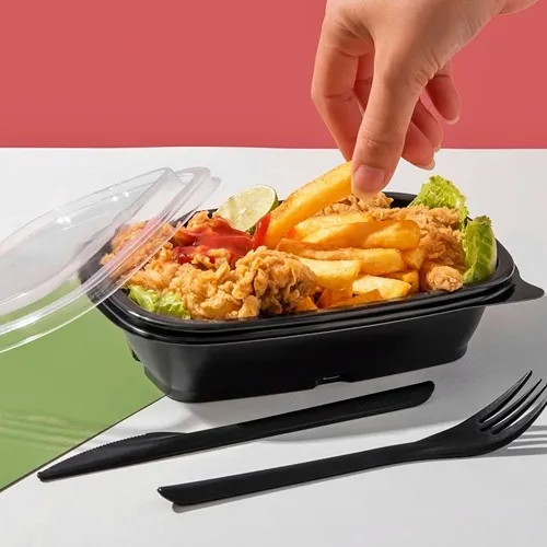 قیمت خرید ظرف یکبار مصرف ماکروفری پلی پرو مشکی ۱۰۰۰ طب پلاستیک + پر مصرف و پر فروش